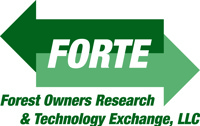 FORTE FORTE